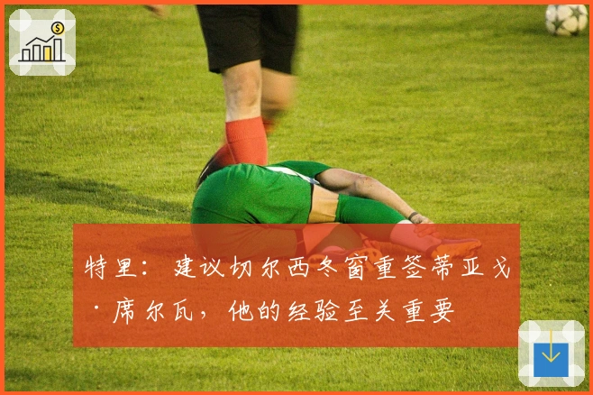 特里：建议切尔西冬窗重签蒂亚戈·席尔瓦，他的经验至关重要