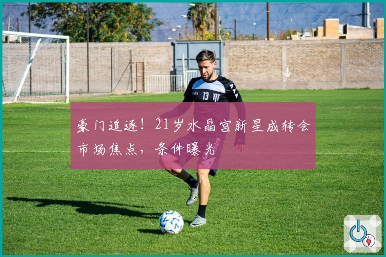 豪门追逐！21岁水晶宫新星成转会市场焦点，条件曝光