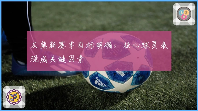 灰熊新赛季目标明确,核心球员表现成关键因素